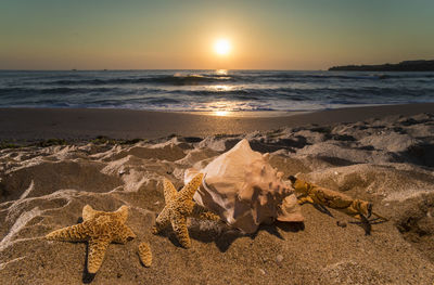 Scenic view of beach during sunset