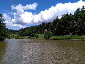 Scenic view of lake in forest against sky