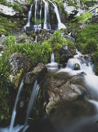 Scenic view of waterfall in forest