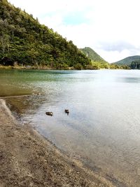 Scenic view of lake against sky