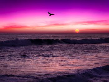 Silhouette bird flying over sea against sky during sunset