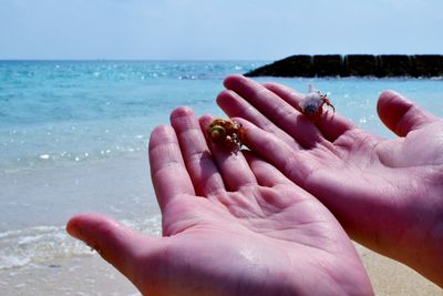 Cropped image of hands on sea shore