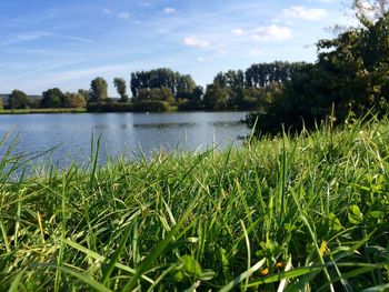 Scenic view of lake against sky