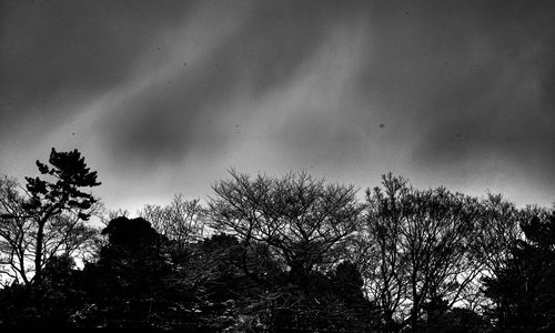 Low angle view of silhouette trees against sky