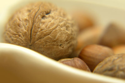 Walnut....