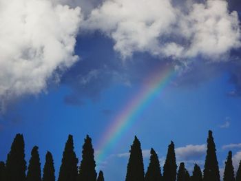 Rainbow over trees against sky