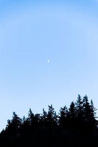Low angle view of silhouette trees against clear blue sky