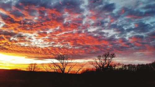 Silhouette trees against dramatic sky during sunset