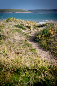 Scenic view of calm beach