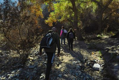 Rear view of people walking in forest