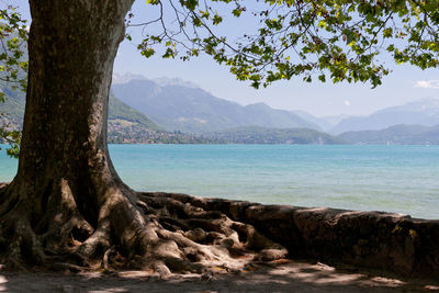 Scenic view of tree mountains against sky