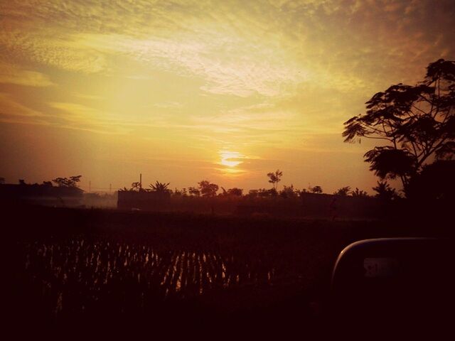 sunset, silhouette, sky, orange color, sun, landscape, scenics, transportation, tranquil scene, tranquility, beauty in nature, field, land vehicle, tree, nature, cloud - sky, car, mode of transport, idyllic, cloud