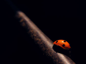 Close-up of stage on black background