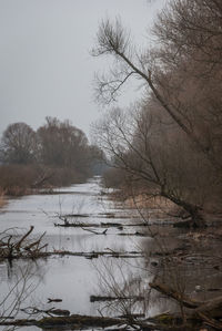 Scenic view of lake against sky during winter