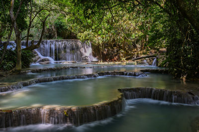 Scenic view of waterfall in forest