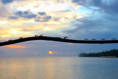 Close-up of bridge against sky during sunset