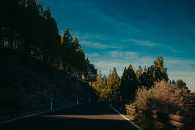 Road by trees against sky