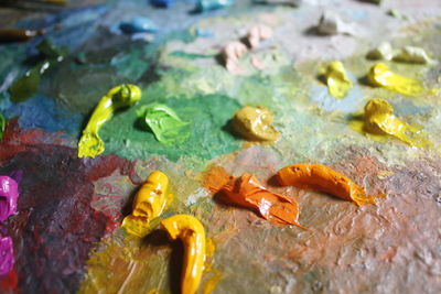 Colorful palette with oil paints 