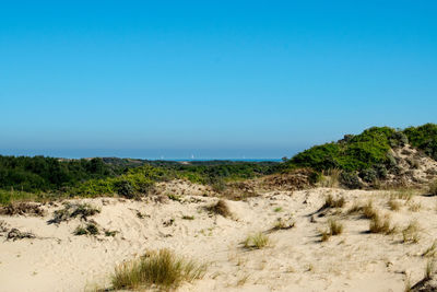 Scenic view of beach against clear blue sky