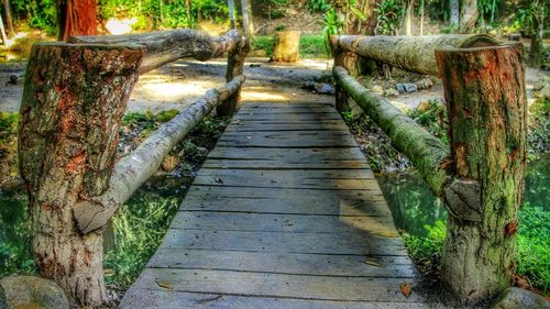 Walkway amidst trees