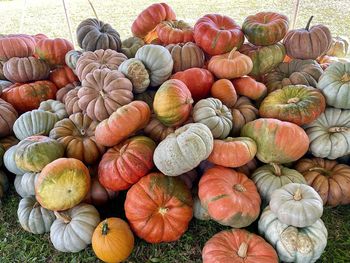 High angle view of pumpkins for sale