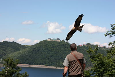 Rear view of man with eagle standing on mountain