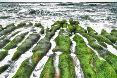 Panoramic view of sea