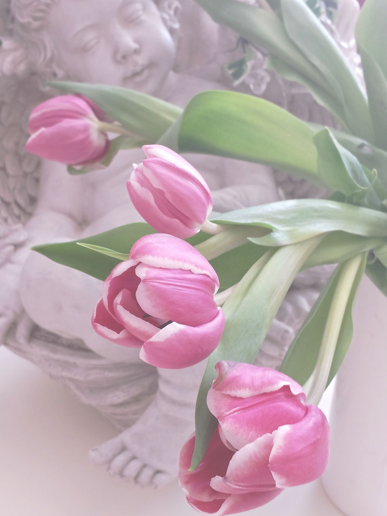 Tulpen in vase