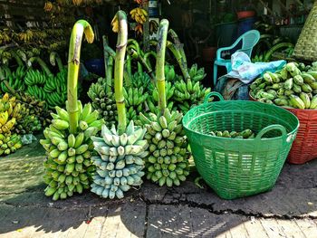 Green fruits for sale in market