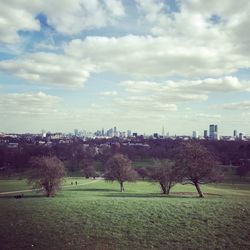 Trees on landscape against sky in city