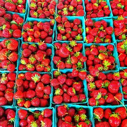 Full frame shot of fruits for sale in market