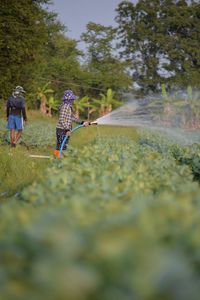 Rear view of boys playing in water