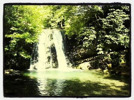 WATERFALL IN FOREST