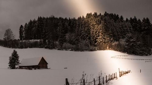 Scenic view of lake in forest during winter