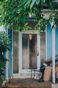 Potted plants against building