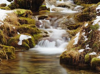 Scenic view of waterfall in forest