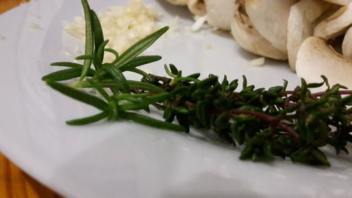 Close-up of vegetables