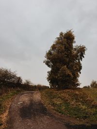 Road by trees on landscape against sky
