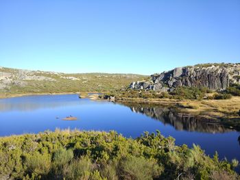 Scenic view of lake against clear blue sky