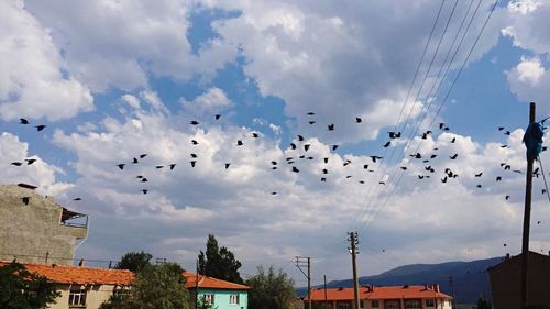 Flock of birds flying over houses against cloudy sky