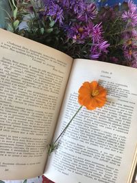 High angle view of flower petals on book