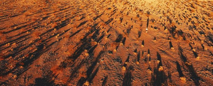 Full frame shot of landscape