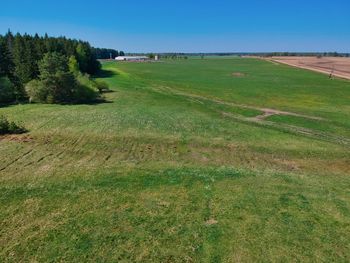 Scenic view of field against clear sky