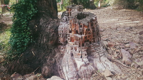 Panoramic shot of tree trunk