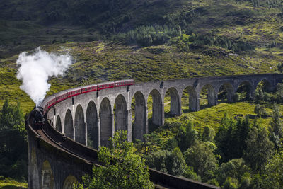 Aerial view of train over arch bridge amidst trees