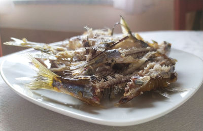 Close-up of fish in plate on table