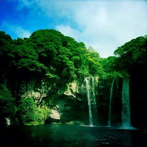 Scenic view of waterfall in forest against sky