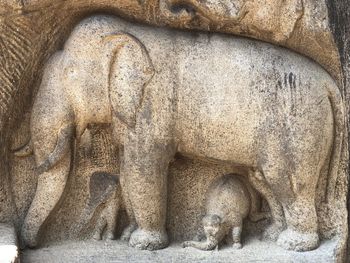 Close-up of old statue