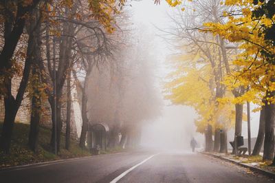 Road amidst trees during autumn