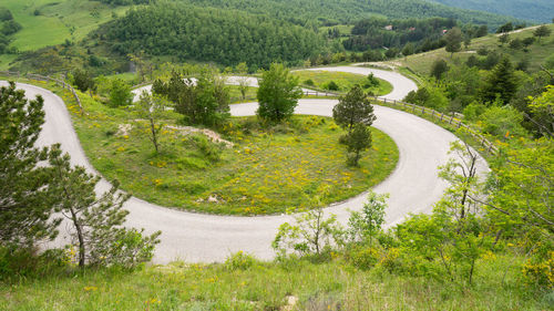 High angle view of winding road amidst trees